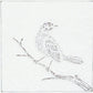 10" X 10" White Bird Metal Square Hanging Wall Decor
