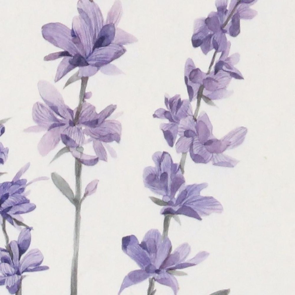 32" X 12" Natural White And Lavender Floral Wood Framed Art