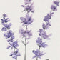 32" X 12" Natural White And Lavender Floral Wood Framed Art