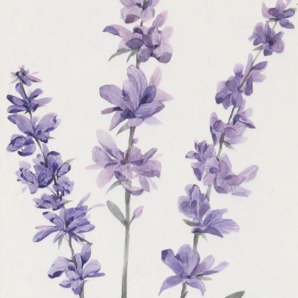 32" X 12" Natural White And Lavender Floral Wood Framed Art