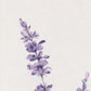 32" X 12" Natural White And Lavender Floral Wood Framed Art
