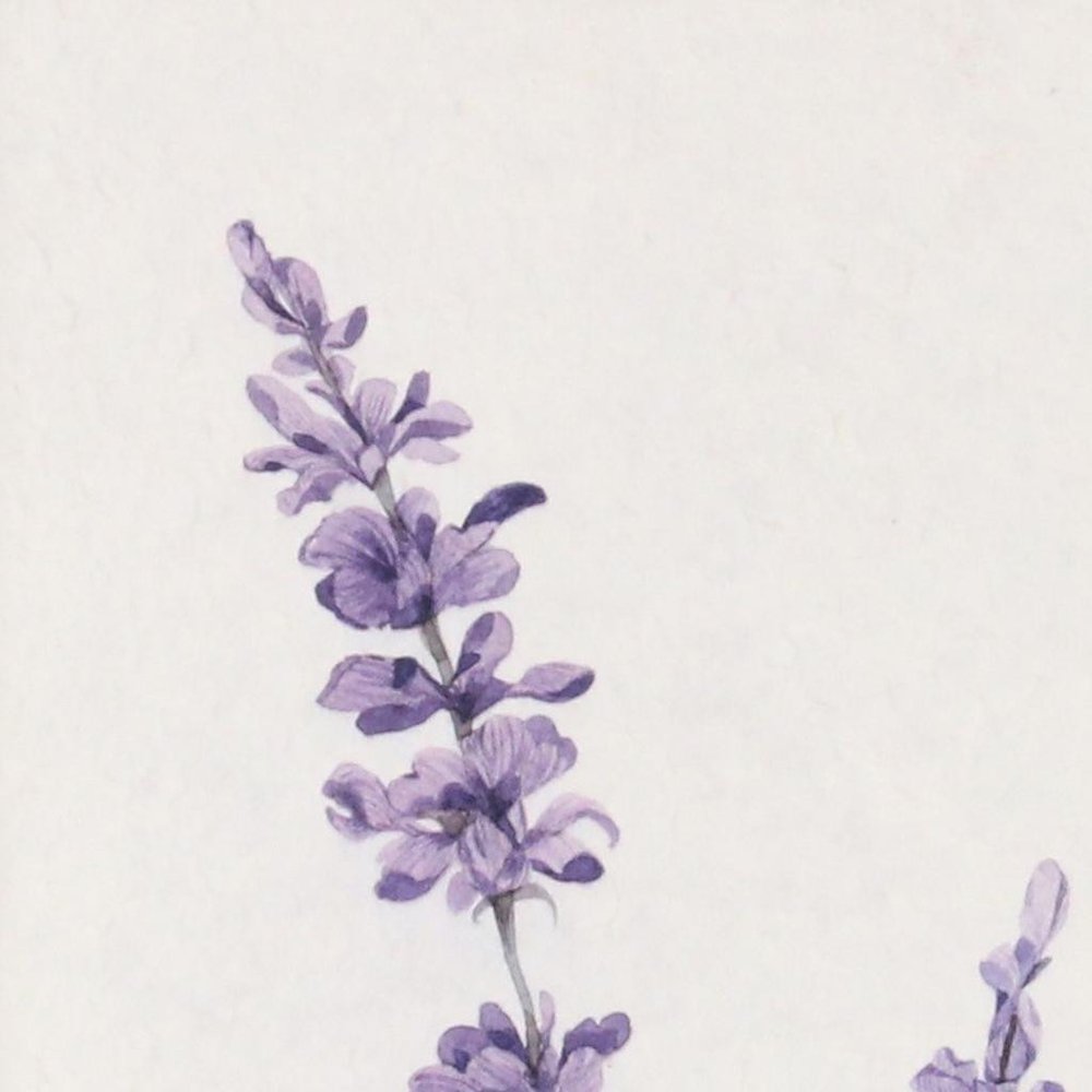 32" X 12" Natural White And Lavender Floral Wood Framed Art