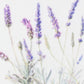16" X 26" Natural White And Lavender Floral Wood Framed Art