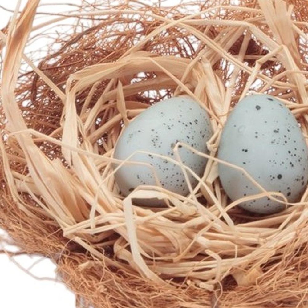 Set of Eight Brown And Blue Decorative Birds Nests With Eggs Sculptures