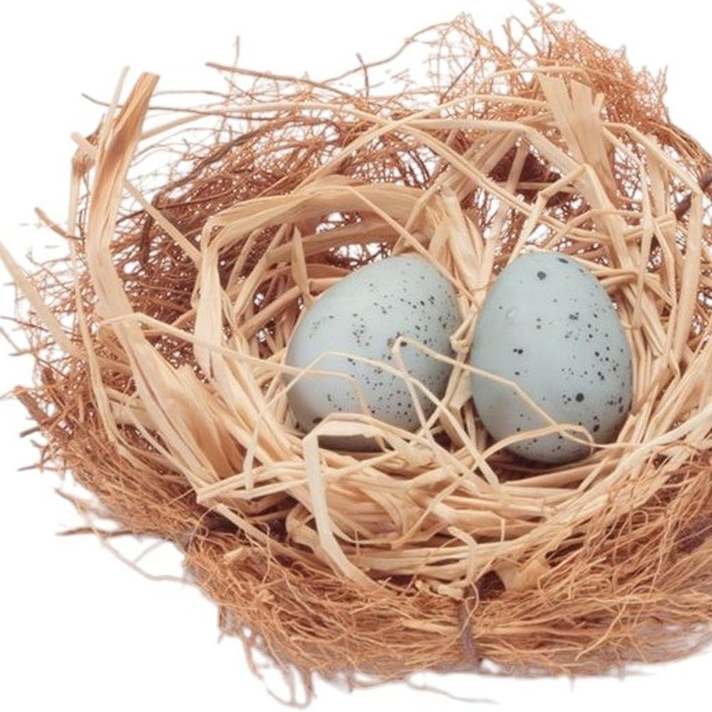 Set of Eight Brown And Blue Decorative Birds Nests With Eggs Sculptures