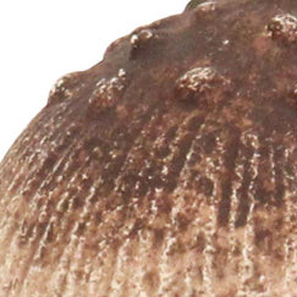 6" Red And Off White Cast Iron Mushroom Tabletop Sculpture