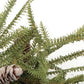 24" Green And Brown Christmas Pine And Pinecone Artificial Wreath
