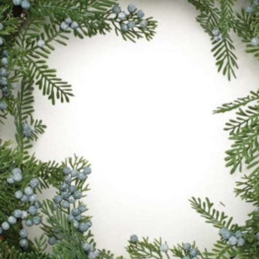 26" Green And Brown Christmas Juniper Artificial Wreath