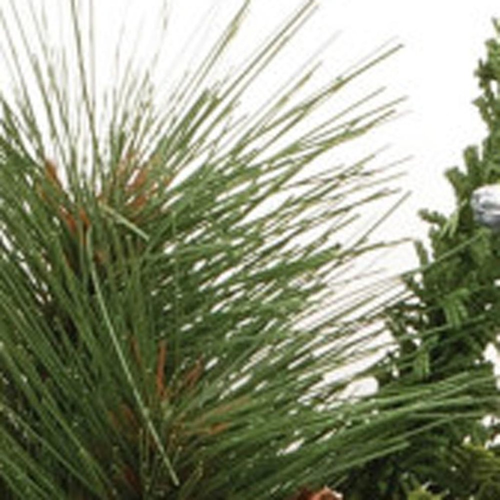 18" Green Christmas Pine And Pinecone Artificial Wreath