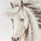 Framed Horse Brown Framed Wall Art