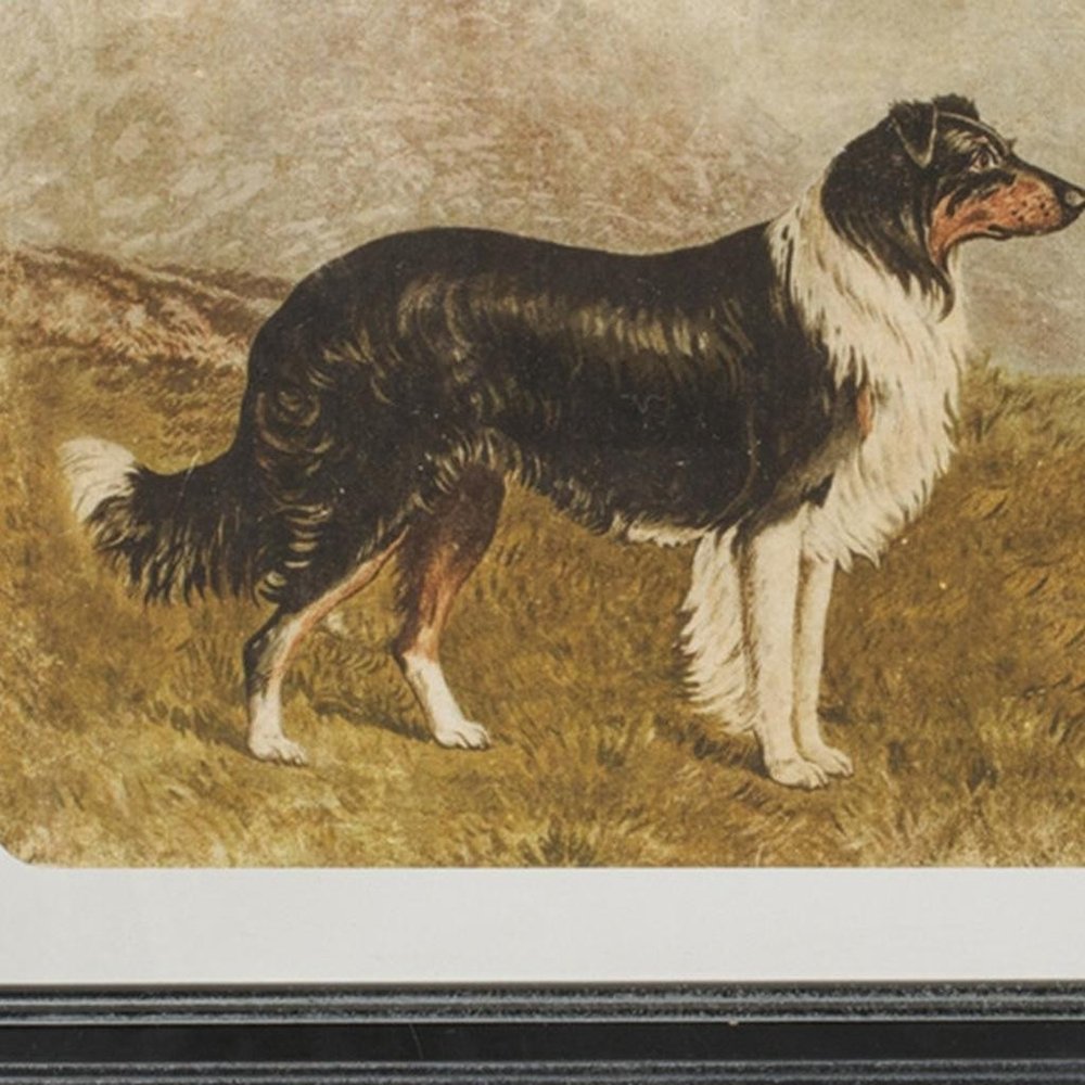 Set Of Two Country Dog Buddies Black Framed Wall Art