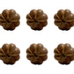 Set of Six Brown Floral Knob Wood Drawer Pull Knobs