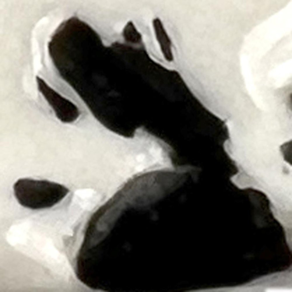 Set of Six White Ceramic Drawer Pull Knobs