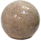 8" Champagne Globe Table Lamp