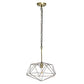 Antiqued Brass And Black Caged Iron Ceiling Light With Shades