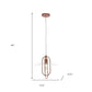 Rose Gold And Clear Simple Iron Ceiling Light With Clear Shades