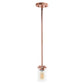 Rose Gold And Clear Cylinder Iron Ceiling Light With Clear Shades