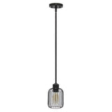 Black Caged Iron Ceiling Light With Black Shades