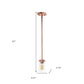 Rose Gold And Clear Cylinder Iron Ceiling Light With Clear Shades
