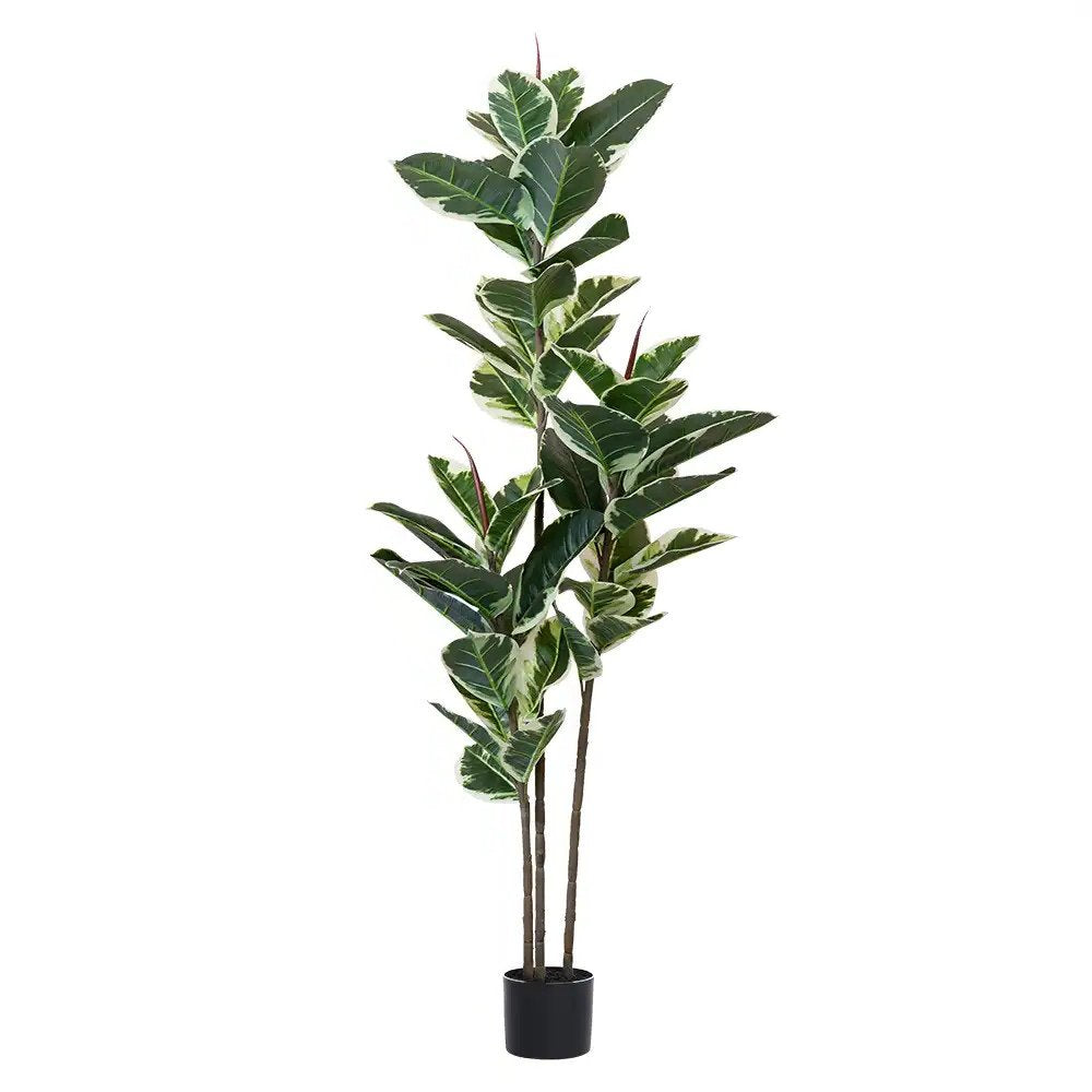 7" Green Artificial Rubber In Cylindrical Black Cement Pot