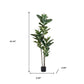 63" Green Artificial Rubber Tree In Cylindrical Black Cement Pot