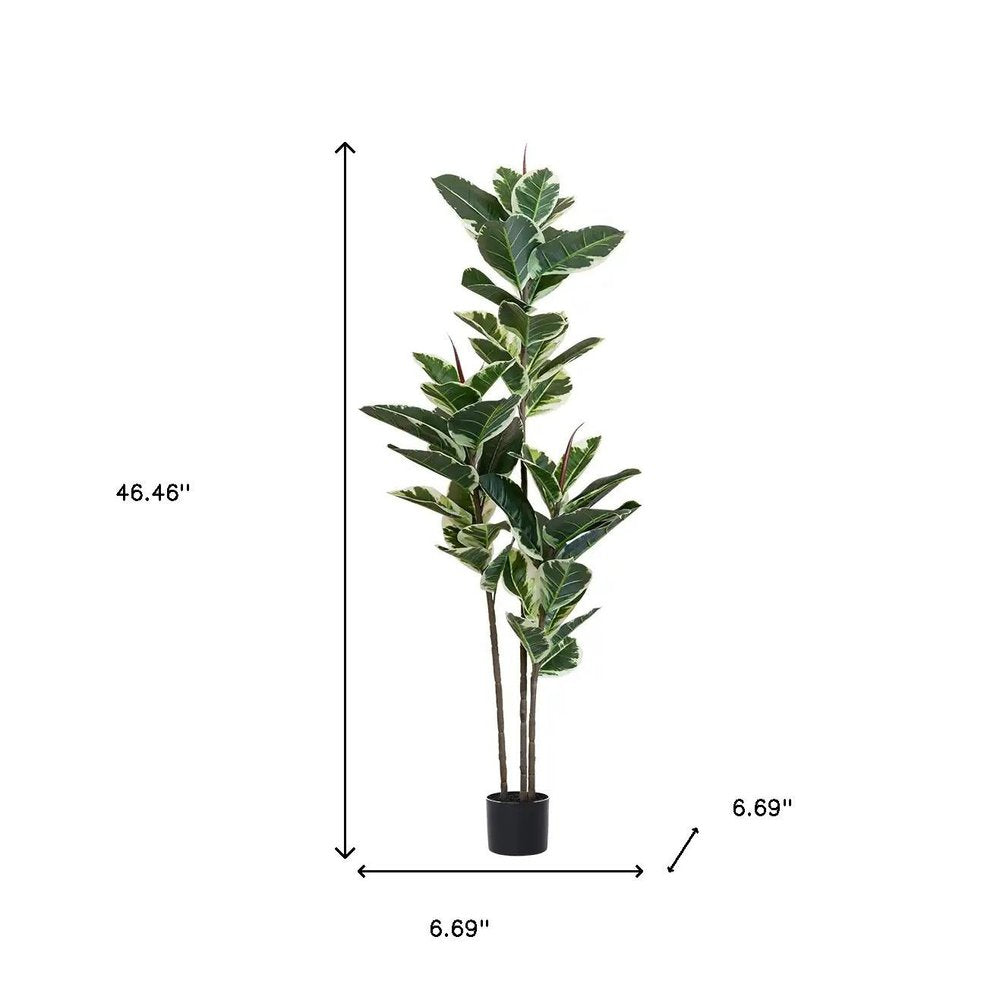 63" Green Artificial Rubber Tree In Cylindrical Black Cement Pot