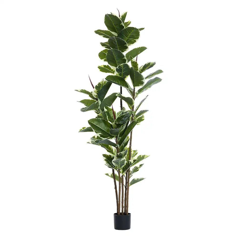 7" Green Artificial Rubber In Cylindrical Black Cement Pot