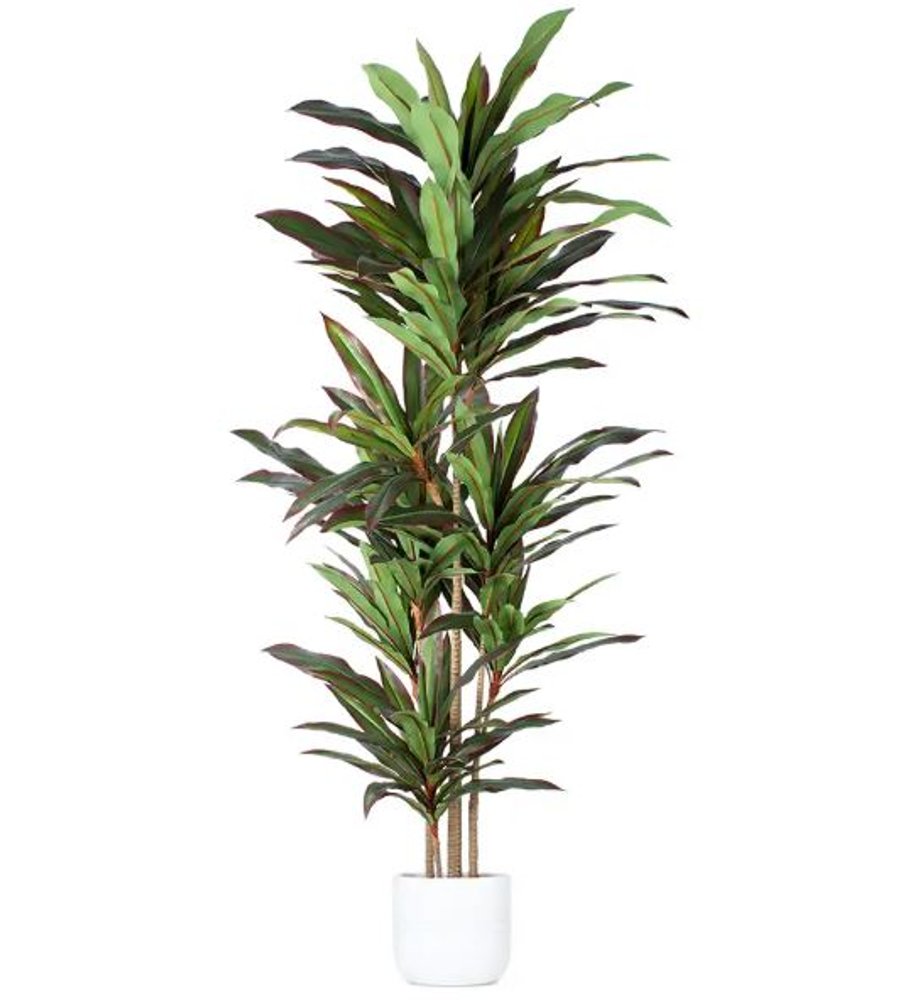 7" Green Artificial Dracaena In Cylindrical Black Cement Pot