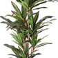 7" Green Artificial Dracaena In Cylindrical Black Cement Pot