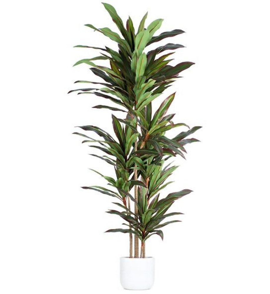 7" Green Artificial Dracaena In Cylindrical Black Cement Pot