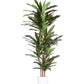 7" Green Artificial Dracaena In Cylindrical Black Cement Pot