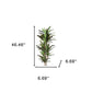7" Green Artificial Dracaena In Cylindrical Black Cement Pot