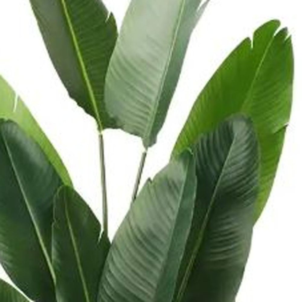 7" Green Artificial Banana Leaf In Cylindrical Black Cement Pot