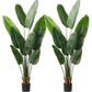 Set of Two 7" Green Artificial Banana Leaf In Cylindrical Black Cement Pot