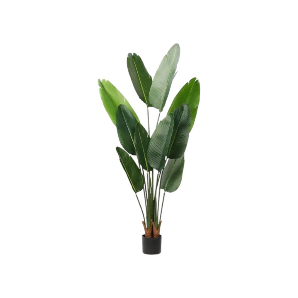 Set of Two 7" Green Artificial Banana Leaf In Cylindrical Black Cement Pot