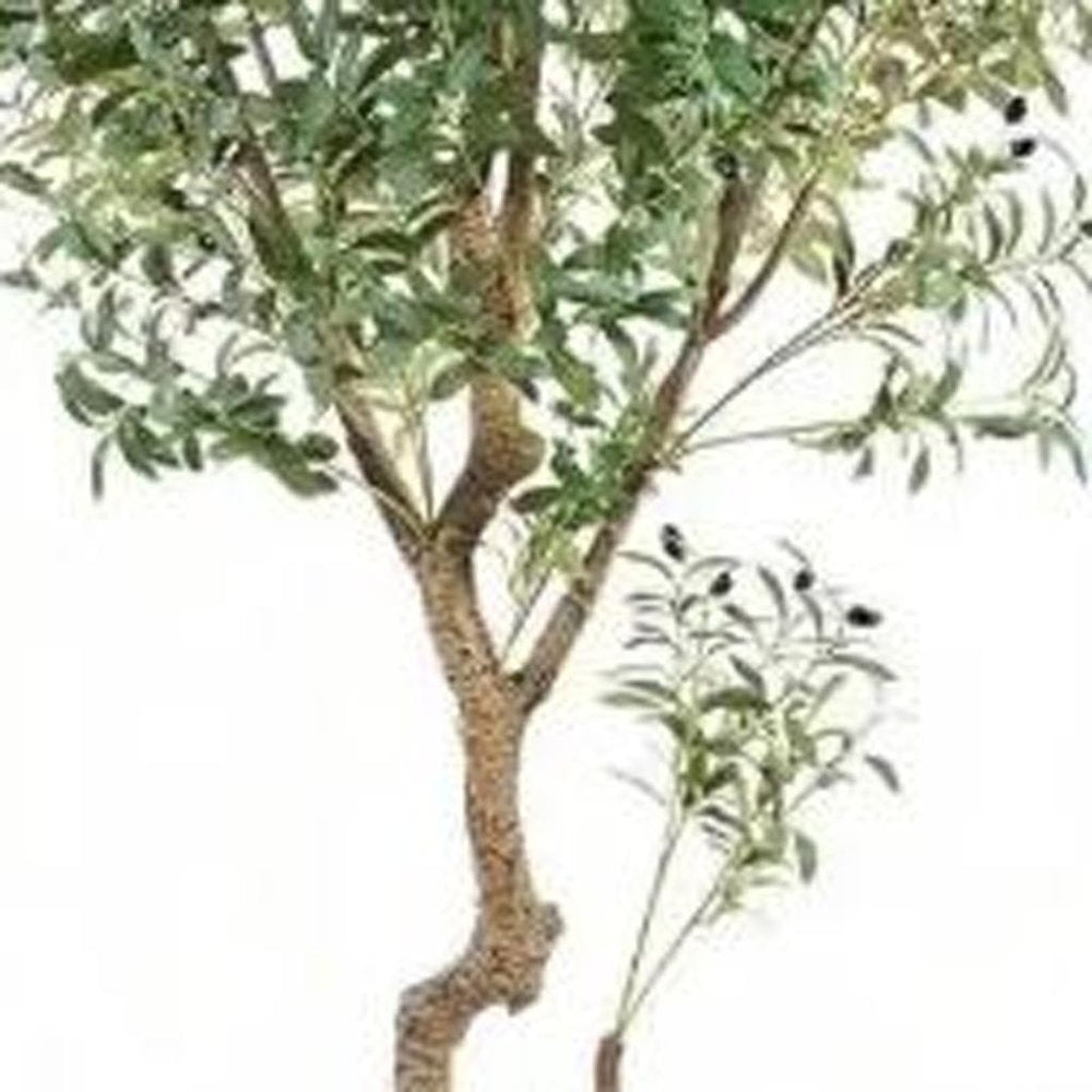 87" Green Artificial Olive Tree In Cylindrical Black Cement Pot