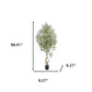 87" Green Artificial Olive Tree In Cylindrical Black Cement Pot