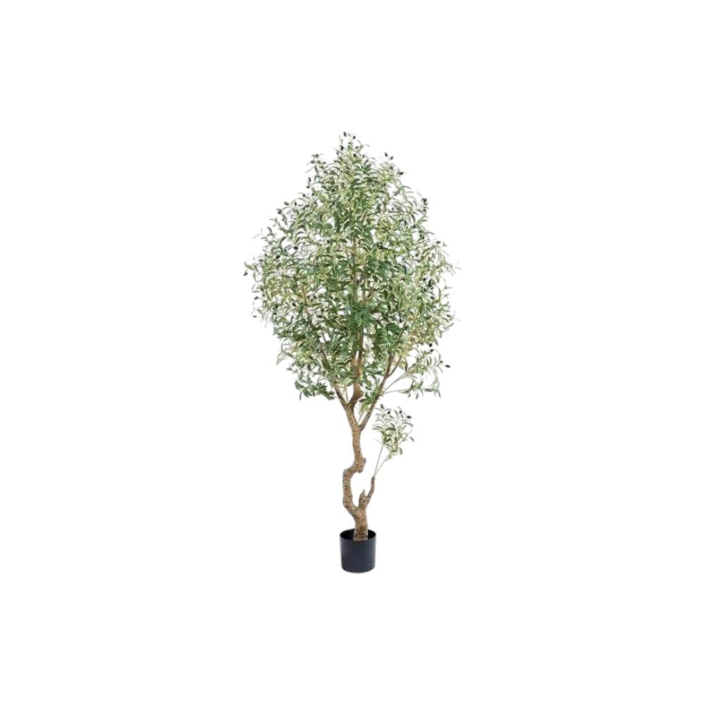 87" Green Artificial Olive Tree In Cylindrical Black Cement Pot