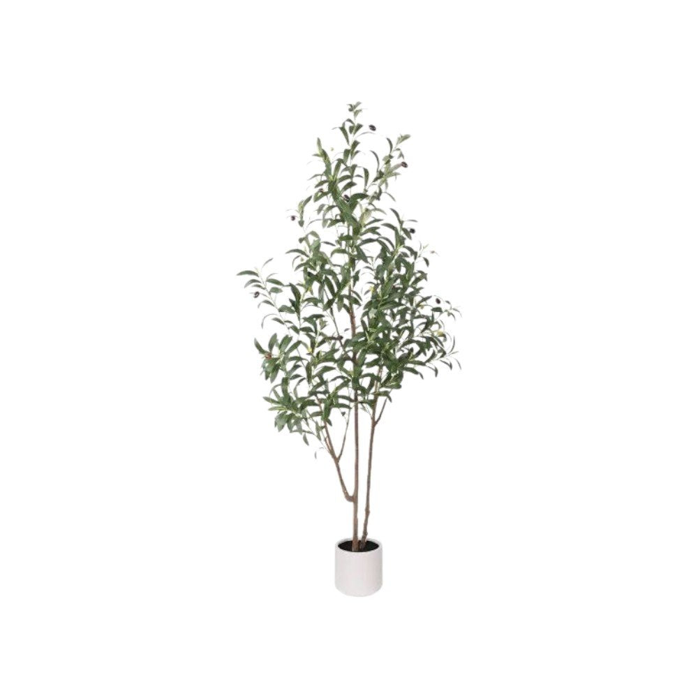 7" Green Artificial Olive In Cylindrical White Cement Pot