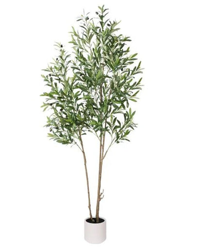 71" Green Artificial Olive Tree In Cylindrical White Cement Pot