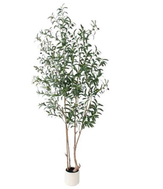 7" Green Artificial Olive In Cylindrical White Cement Pot
