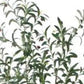 7" Green Artificial Olive In Cylindrical White Cement Pot