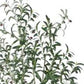 7" Green Artificial Olive In Cylindrical White Cement Pot