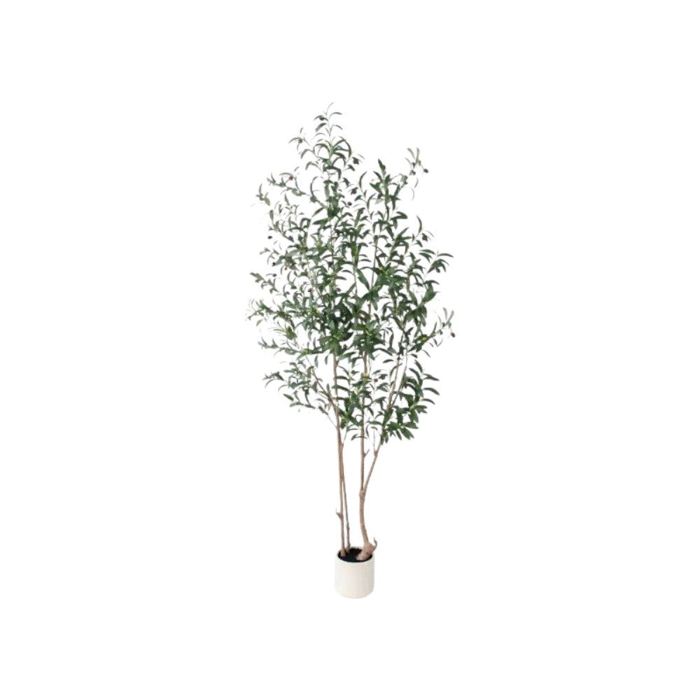 7" Green Artificial Olive In Cylindrical White Cement Pot