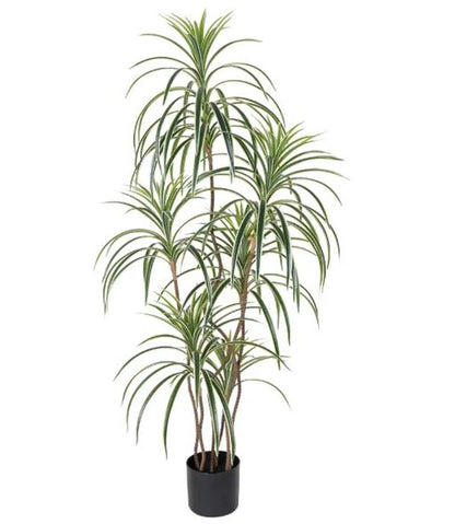 7" Green Artificial Dracaena In Cylindrical Black Cement Pot