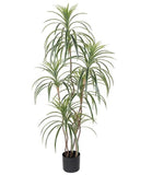7" Green Artificial Dracaena In Cylindrical Black Cement Pot