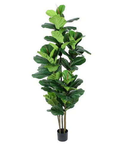 7" Green Artificial Fiddle Leaf In Cylindrical Black Cement Pot