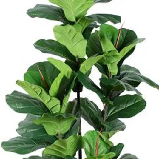 7" Green Artificial Fiddle Leaf In Cylindrical Black Cement Pot
