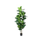 7" Green Artificial Fiddle Leaf In Cylindrical Black Cement Pot