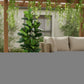 7" Green Artificial Fiddle Leaf In Cylindrical Black Cement Pot